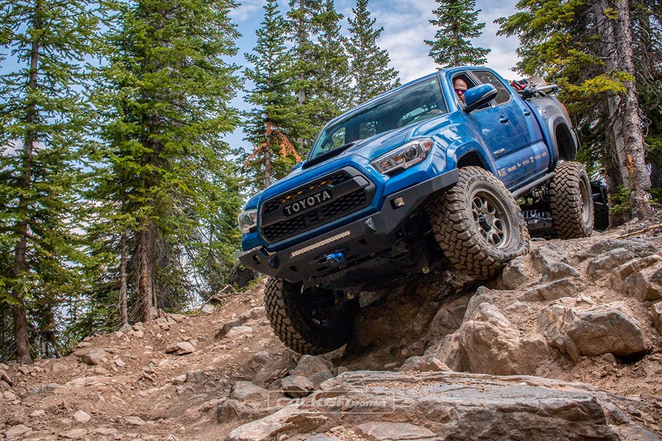 [AD] These are the Falken 4x4 tyres that won’t compromise